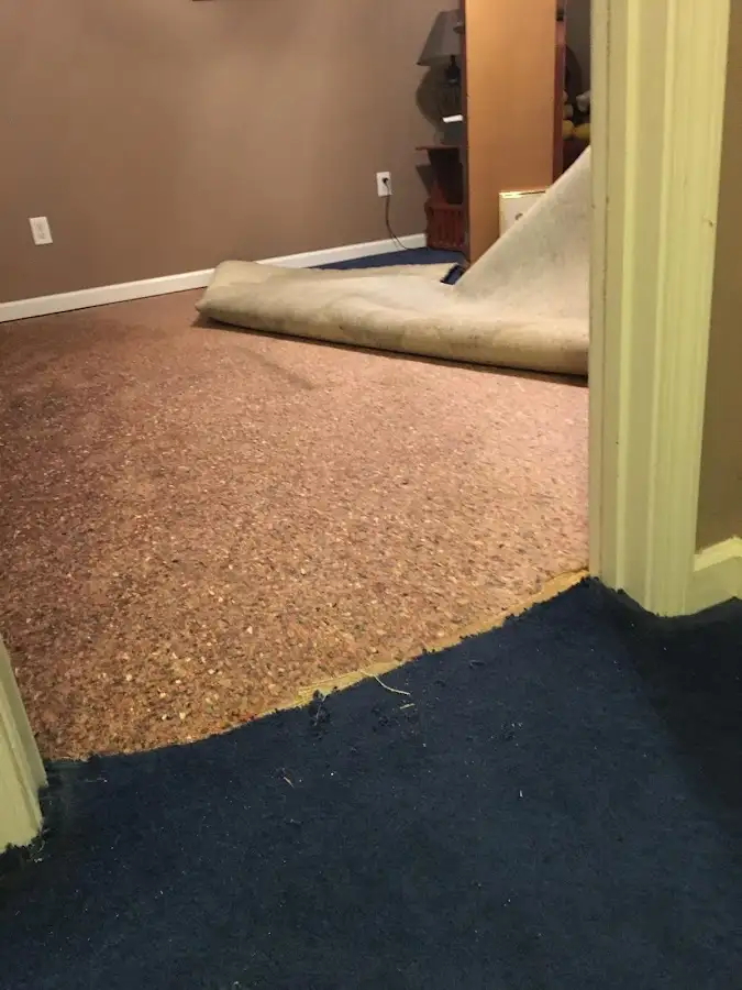 Carpet pad removal revealing water damage during Drying & Dehumidification in Fort Meade