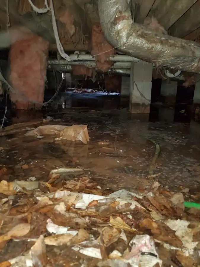 Crawl space flood assessment for Leak Detection & Repair in Fort Meade